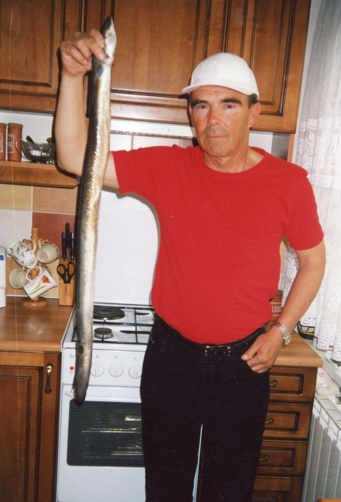 04_węgorz